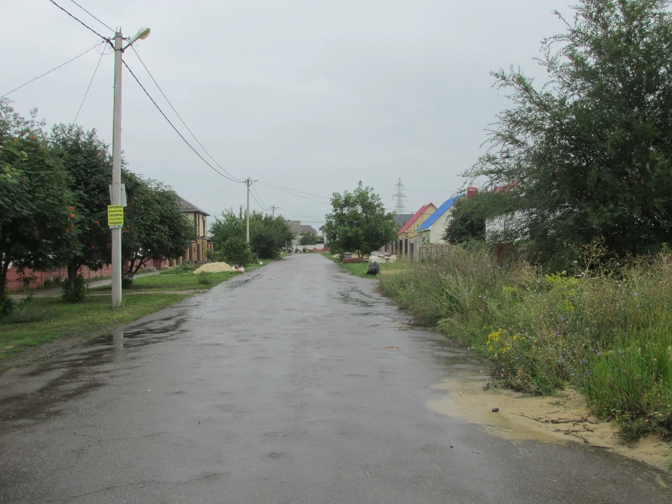 фото Елены Федяшевой