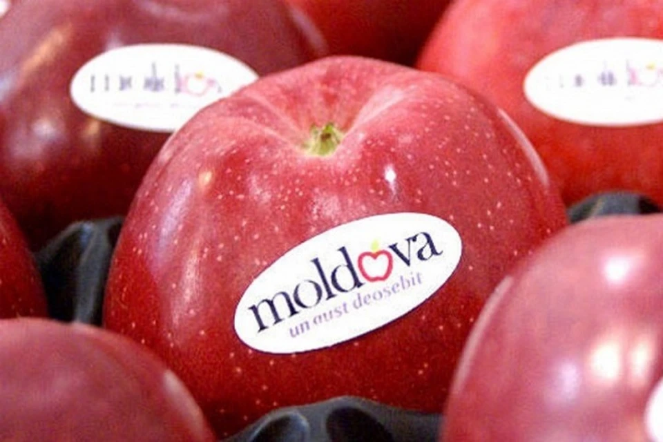 В Молдове ожидается неурожай (Фото: east-fruit.com).