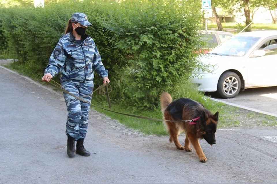 Фото УМВД по Тюменской области