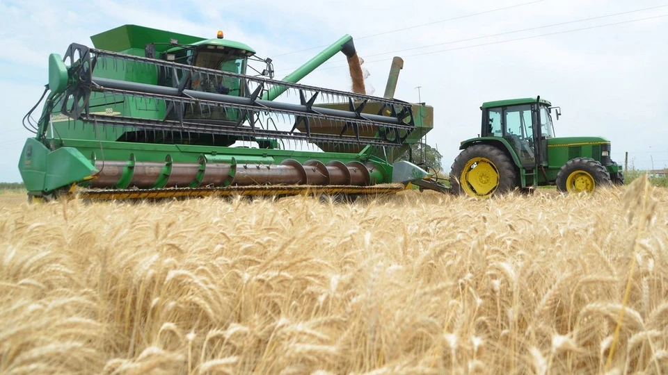Аграрии Томской области готовятся в этом году собрать рекордные урожаи зерновых.