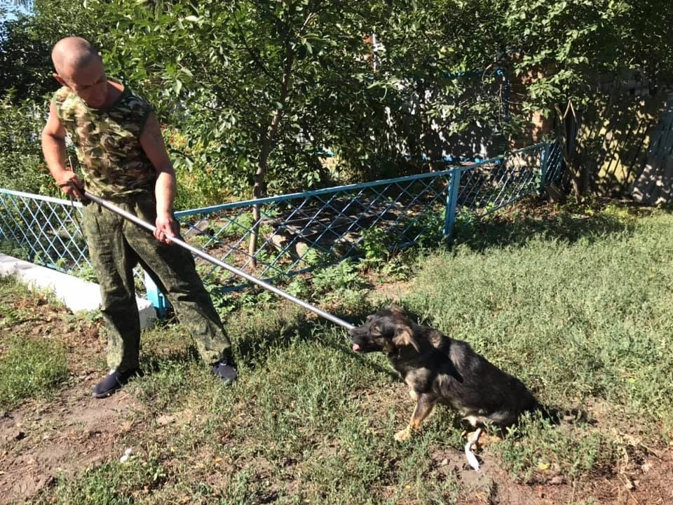 Спасительная петля на шее Хвостика. Александр провел захват быстро и аккуратно. Дети, женщины и собака не пострадали