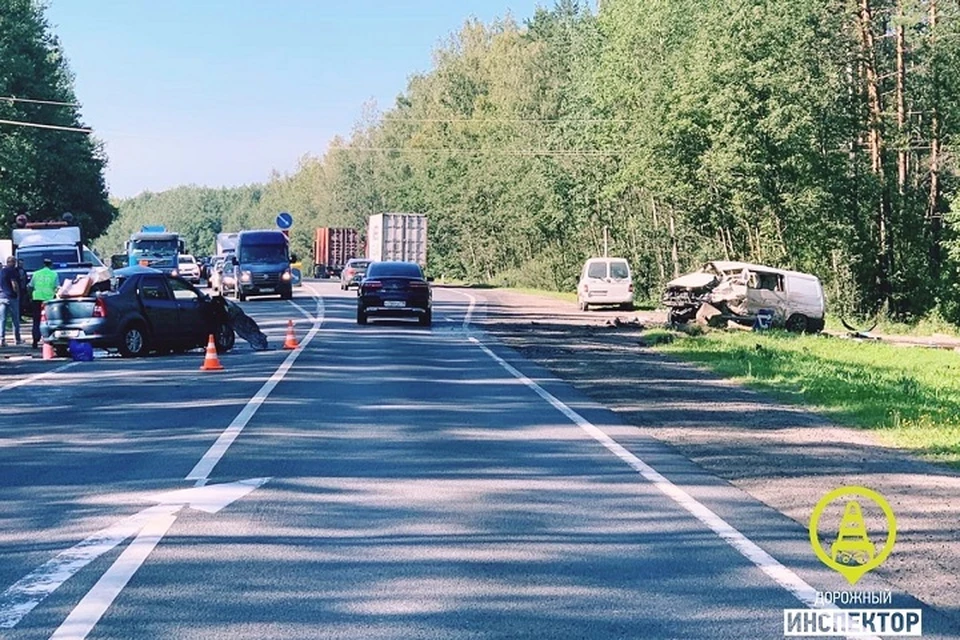 Женщина и собака стали жертвами ДТП на Мурманском шоссе. Фото: vk.com/dorinspb
