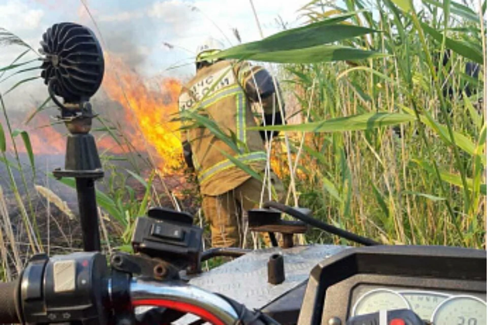 В Ростовской области потушили крупный ландшафтный пожар. Фото: ГУ МЧС по Ростовской области
