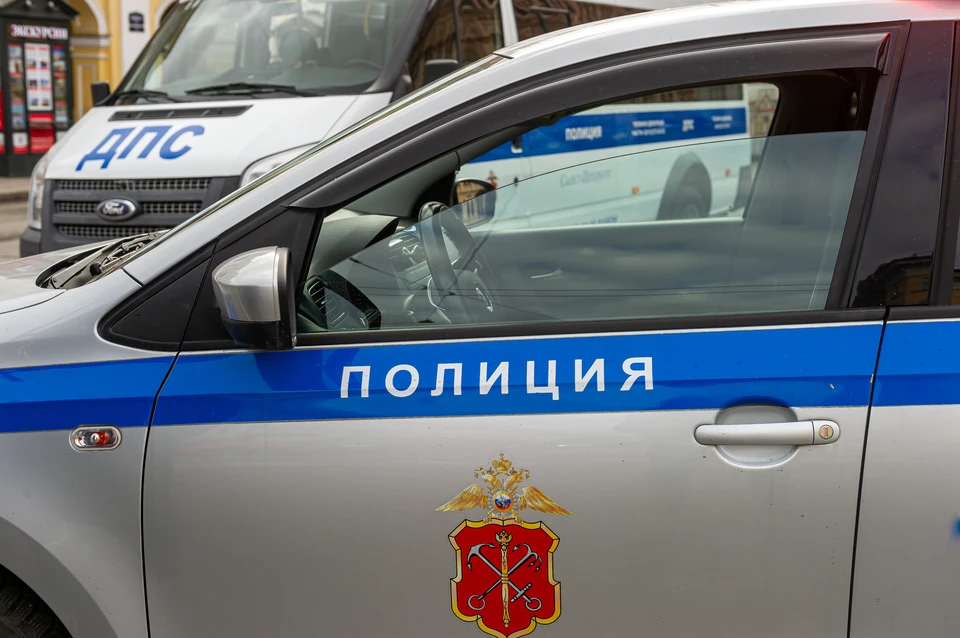 Житель Ленобласти сдал полиции пасынка, убившего человека ради машины