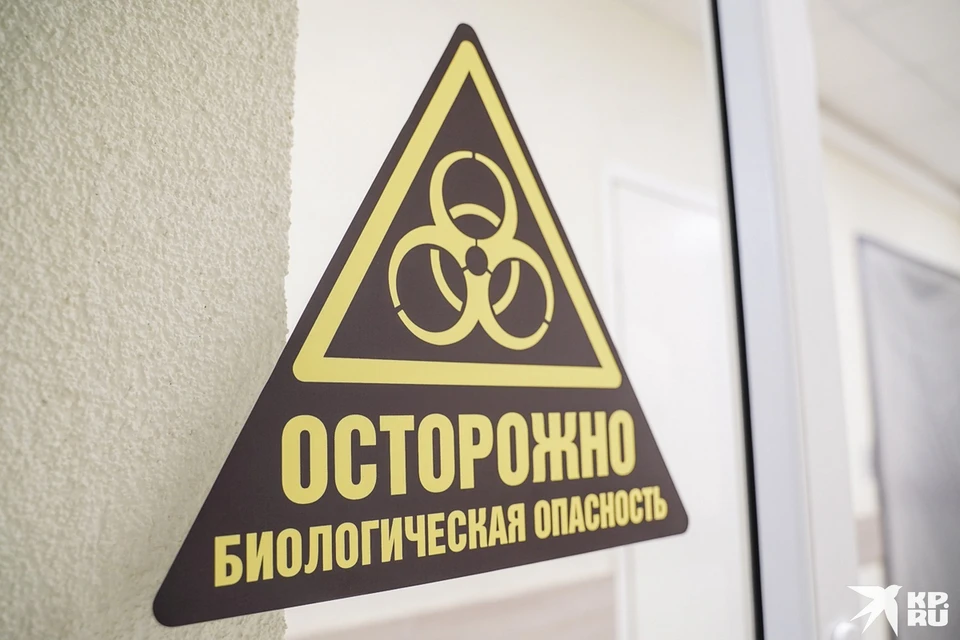 Коронавирус в медицину не пустят