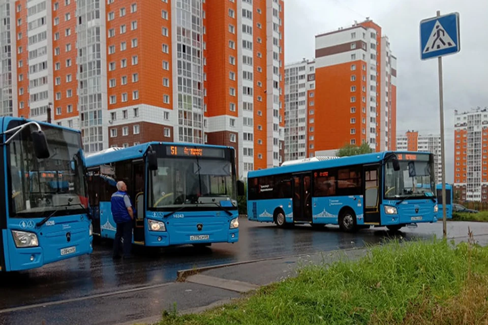 Автобусы стоят на конечной в "Чайке" Фото: vk.com/"Подслушано у водителей. Тверь"/Anatoly Tikhonov
