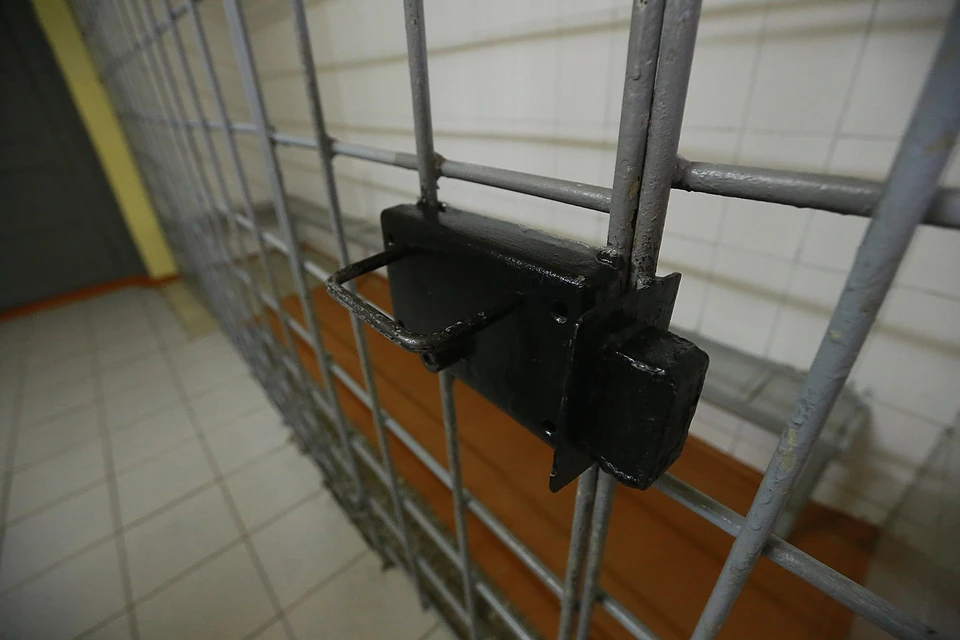Четыре года придется провести обвиняемому в колонии