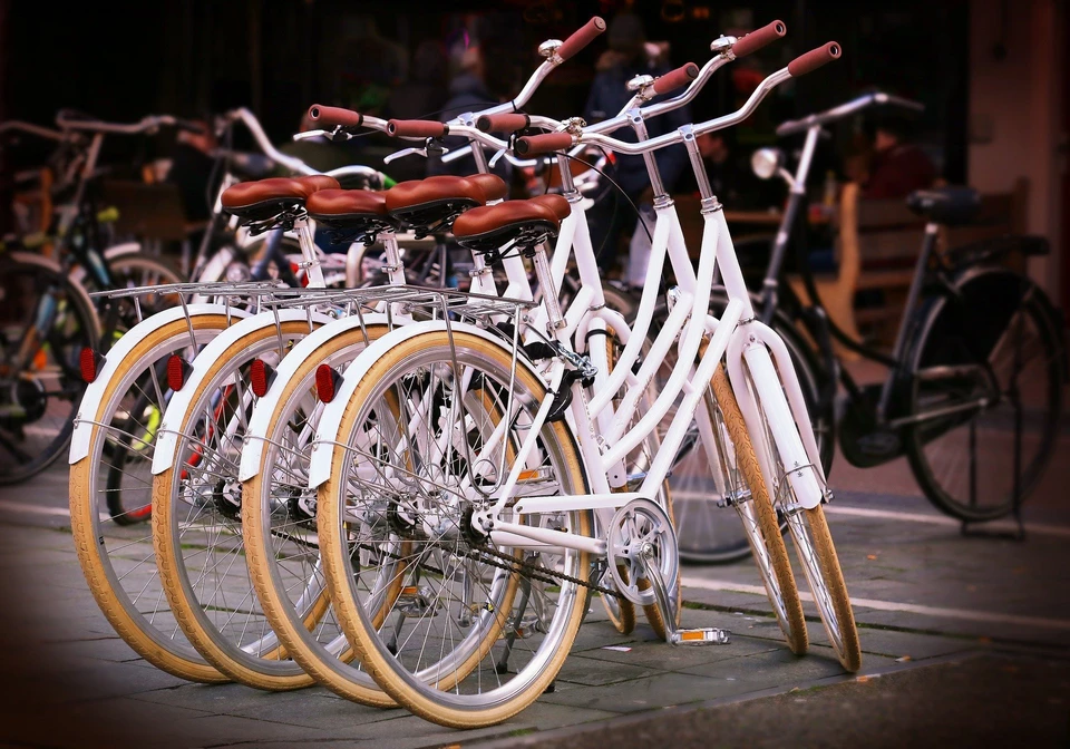 Фото: pixabay.com