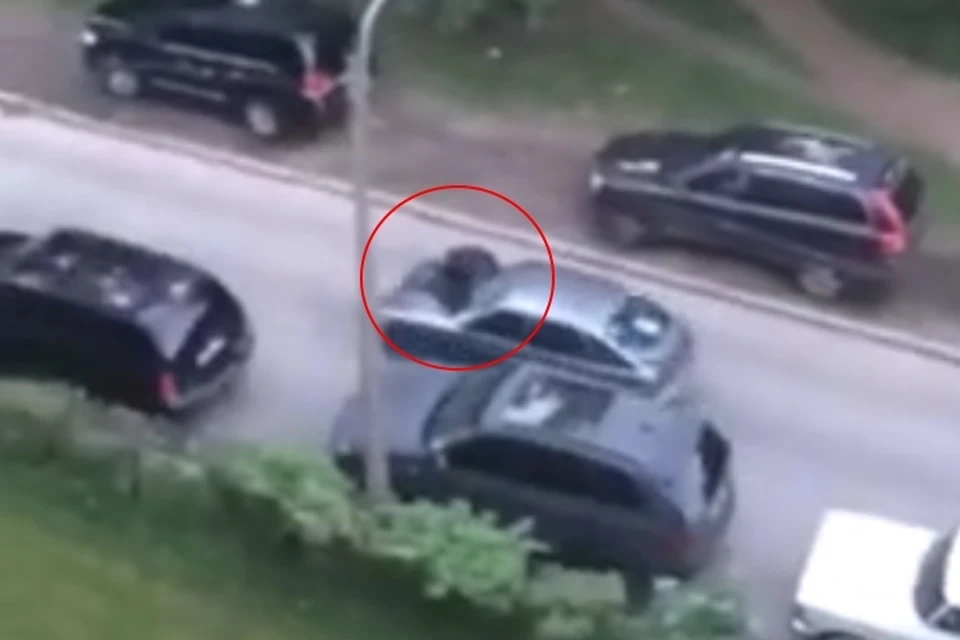Отчаянного мужчину на капоте авто, бьющего кулаками по лобовому стеклу, заметили в Санкт-Петербурге. Фото: vk.com/spb_today