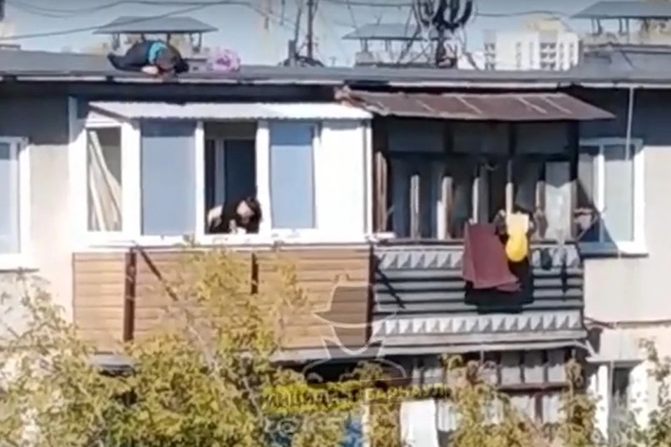 Романтические события происходили на ул. Георгия Исакова. Фото: скриншот видео