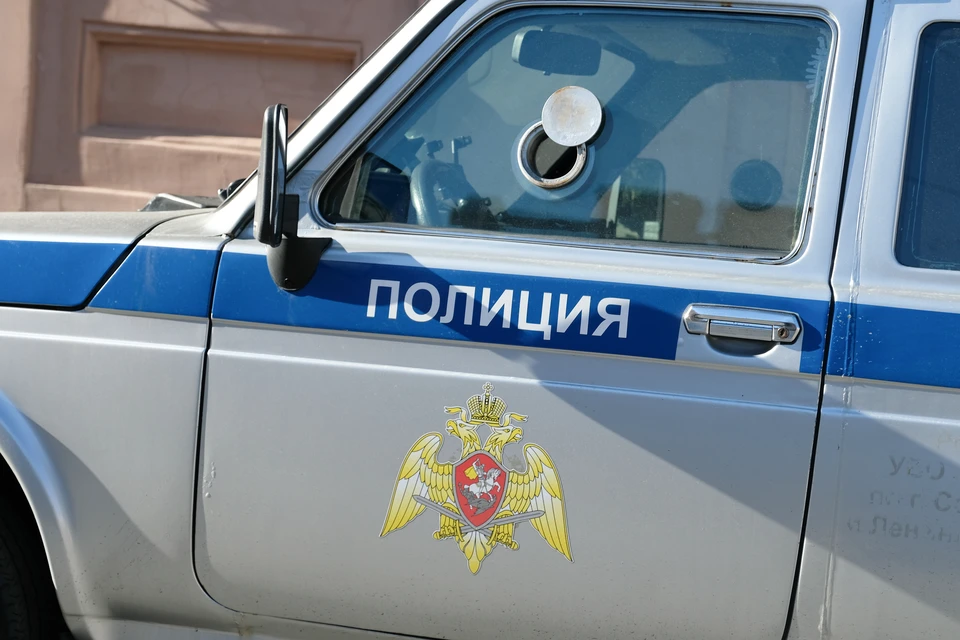 Полиция расследует ограбление магазина текстиля в Калининском районе Петербурга