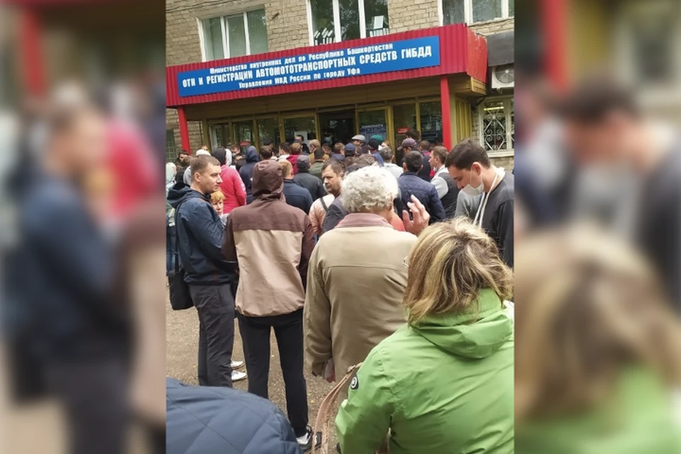 фото: соцсети