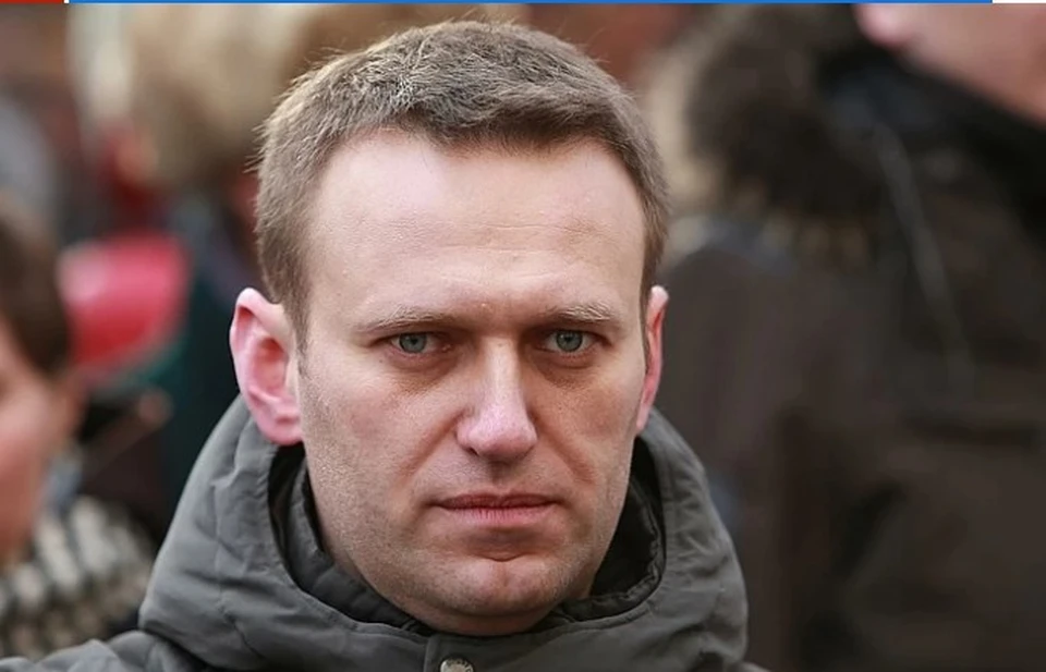В Германии рассказали, как пробы крови Навального попали в Швецию и Францию
