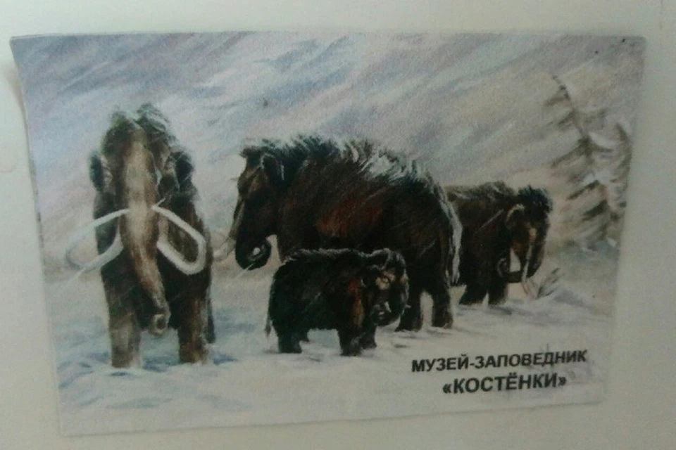 Концепцию многофункционального историко-туристского кластера «Костенки» разработают до конца 2020 года.