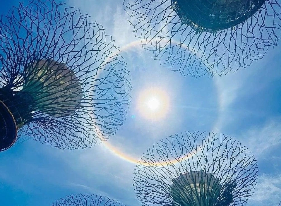 Над садами у Залива в Сингапуре появился солнечный гало. Фото: Instagram gardensbythebay