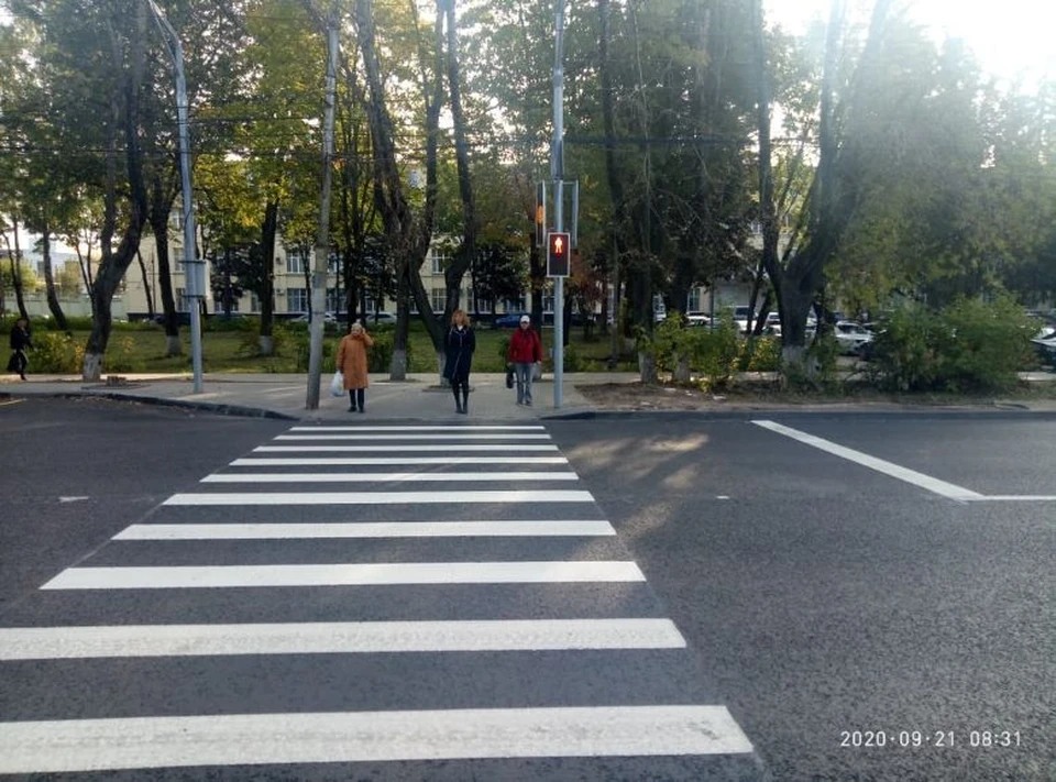 Светофор вызывного действия для пешеходов и горизонтальная разметка на улице Московской, в районе дома № 344.