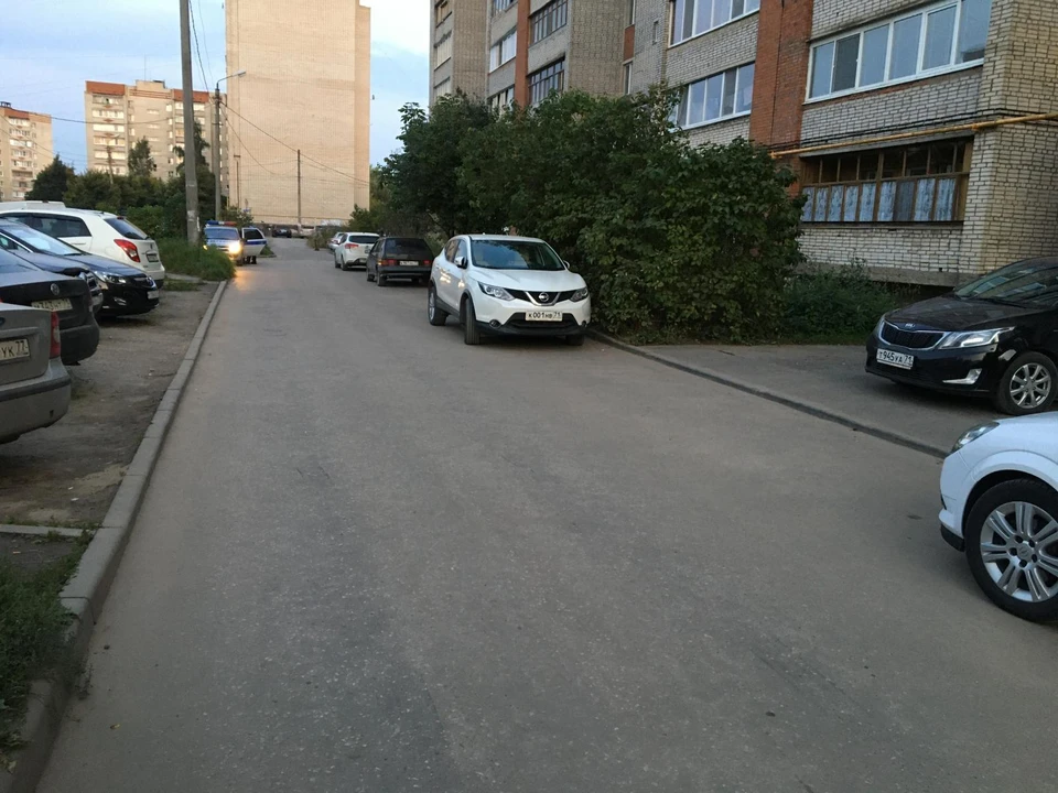 В Тульской области водитель иномарки сбил 7-летнюю жительницу Алексина