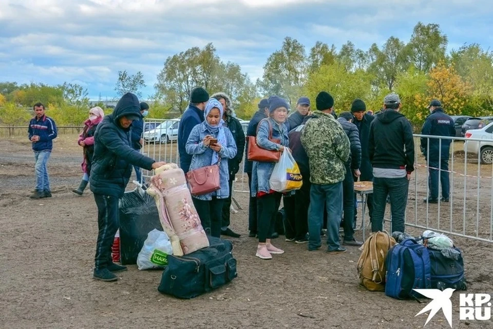 С мая из Самарской области вывезли около 10 тысяч граждан Узбекистана