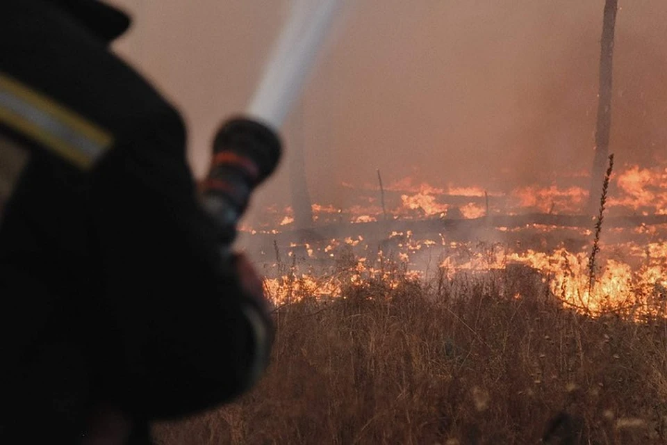 Фото с сайта ГУ МЧС по Воронежской области