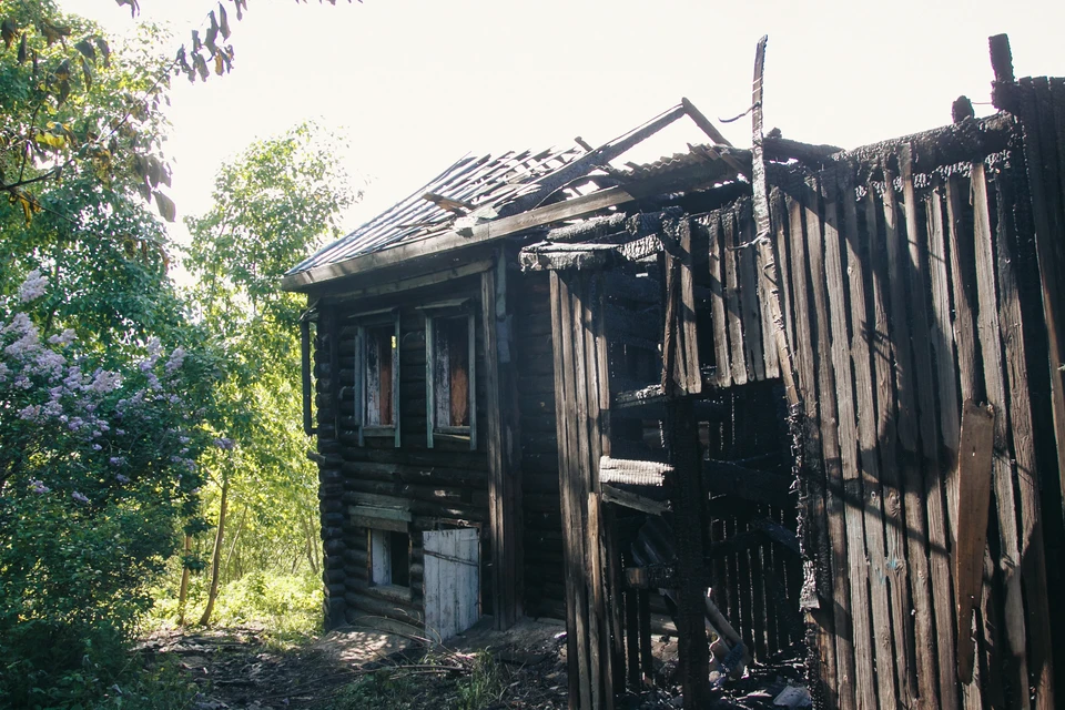 Всего ведомство проверило около 600 домов