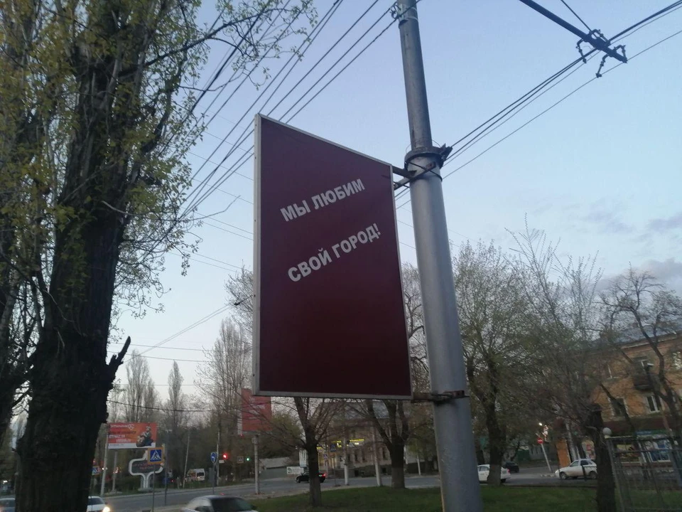 За неделю в Саратове и окрестностях произошло немало удивительного