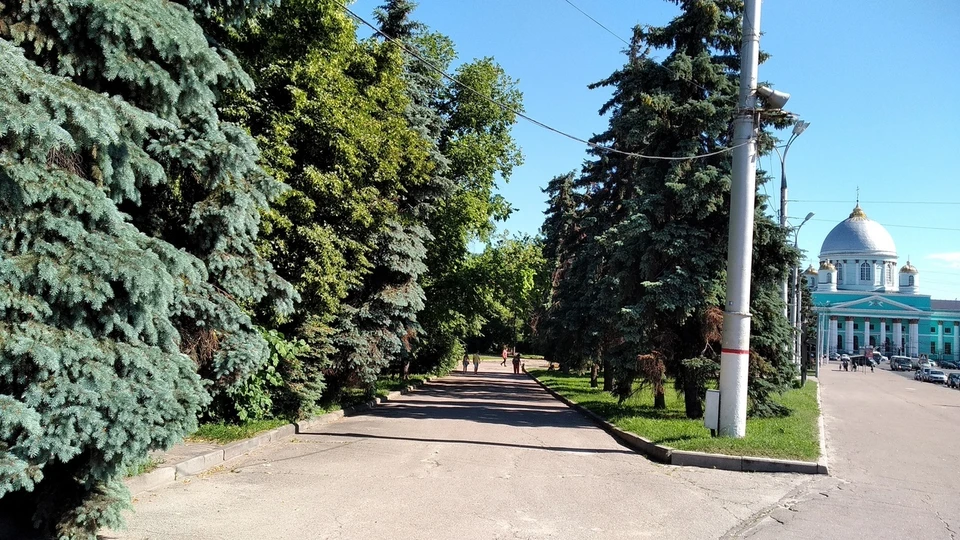 «Курское долголетие» объединит разные направления и структуры