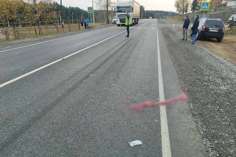 Водитель не снизил скорость перед пешеходным переходом Фото: 1 отдел УГИБДД МВД по Удмуртии