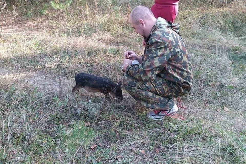 Фото: группа «Подслушано Брянск» в vk.com.