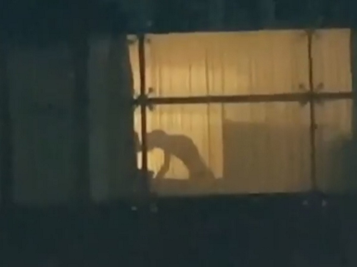 Соседка мастурбирует в окне дома напротив