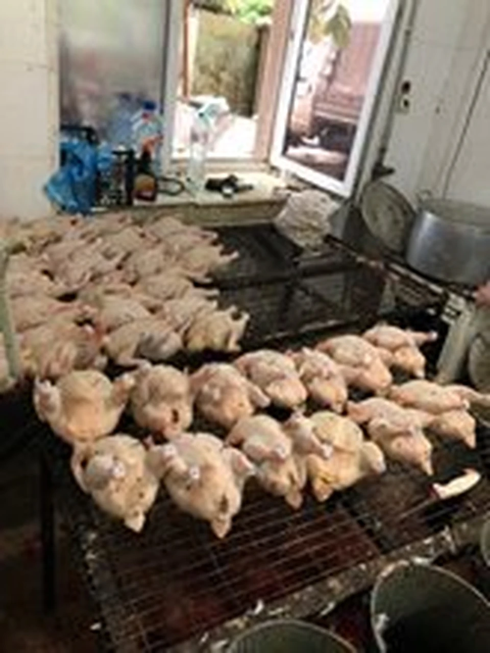 Общий вес продукции составил 1235 килограммов. Фото: Пресс-служба Южного межрегионального управления Россельхознадзора