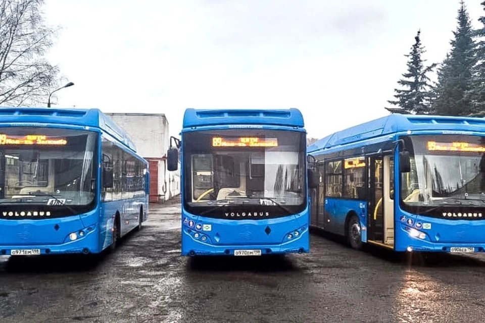 Картинки автобусы новые спб 2021