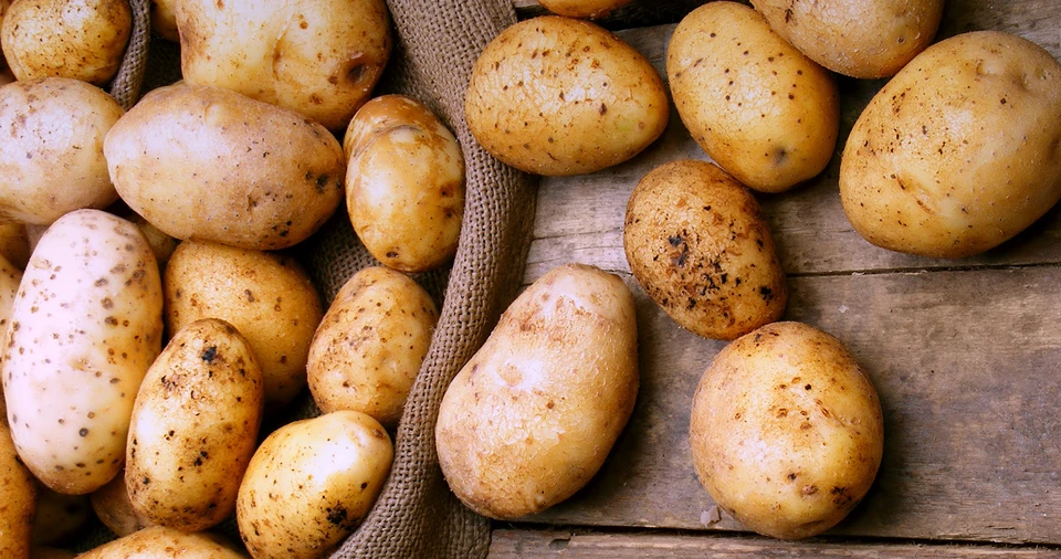 Молдавский картофель не закупается государством. Фото: zautra.by