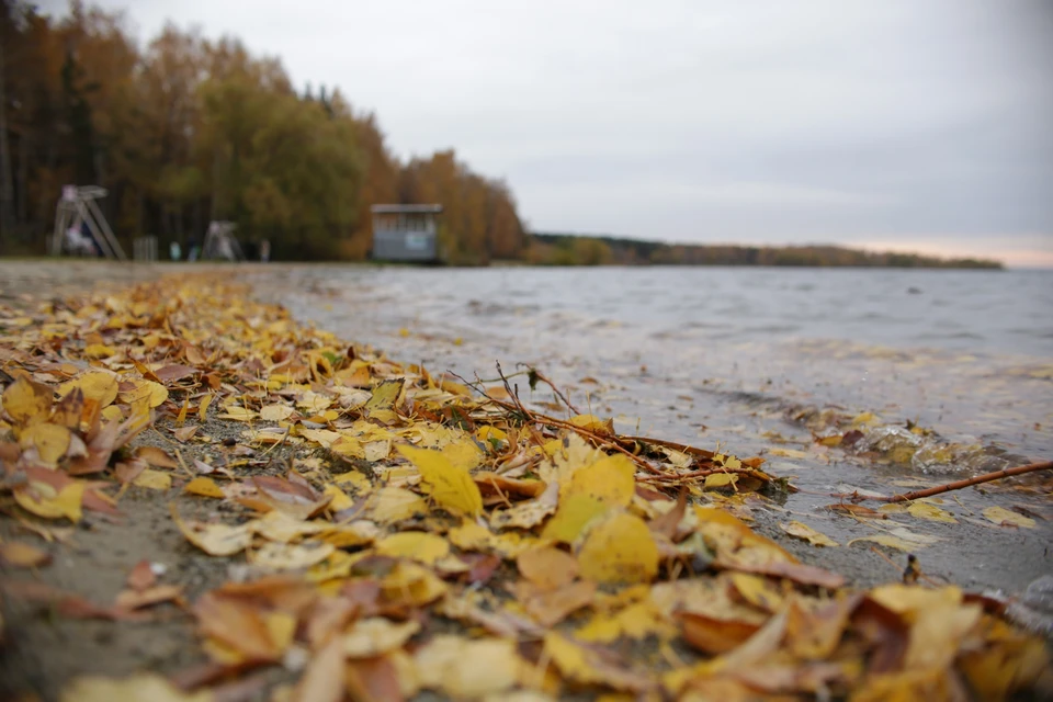 Постоянный снег ляжет в Челябинске после 10-го ноября, а пока повсюду слякоть и желтые листья.