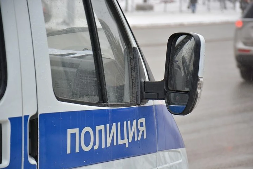 В Новосибирске нетрезвая женщина напала на полицейских.