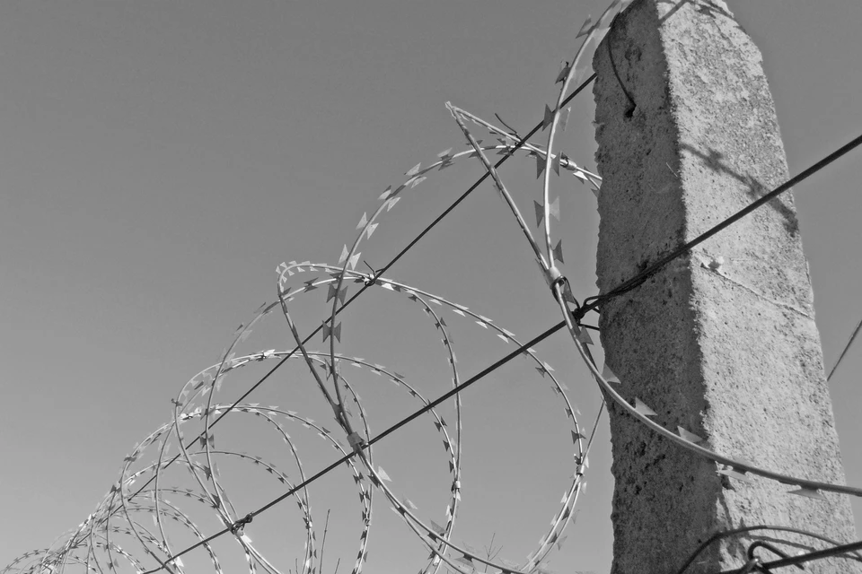 Фото: pixabay.com