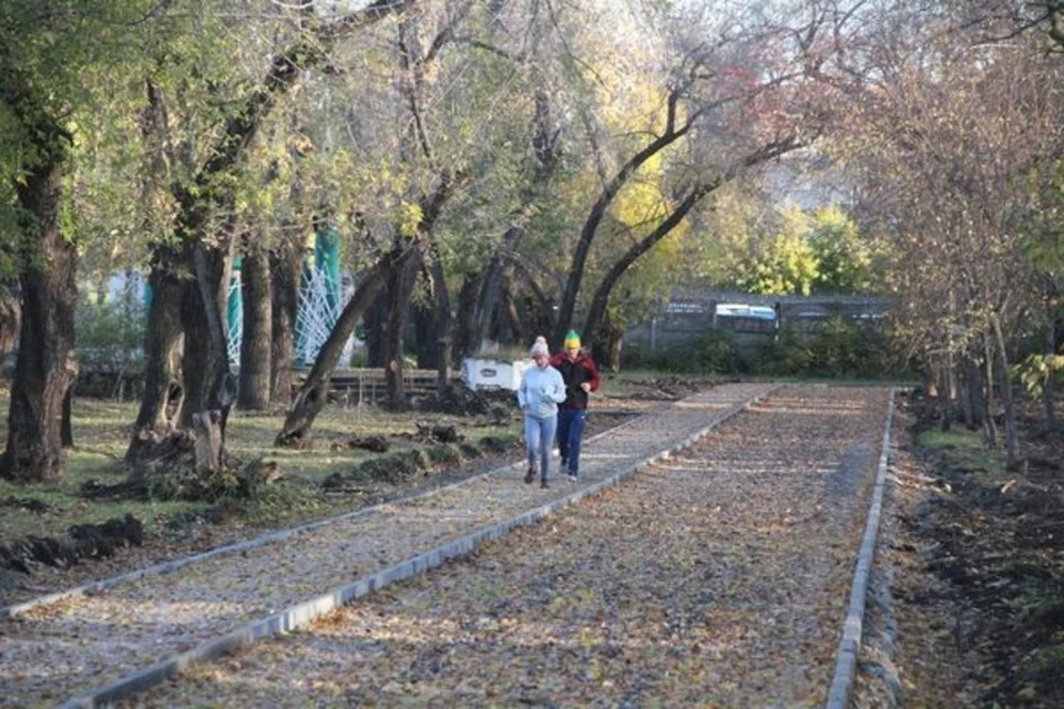 Всего на выбор горожанам предложили 41 территорию.