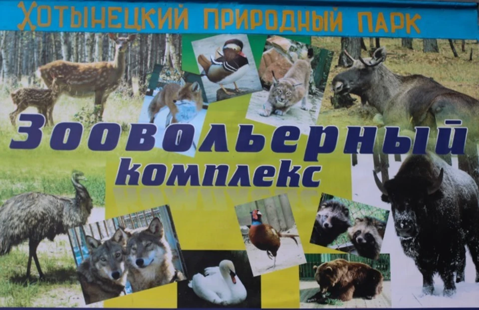 Фото: https://vk.com/hppark