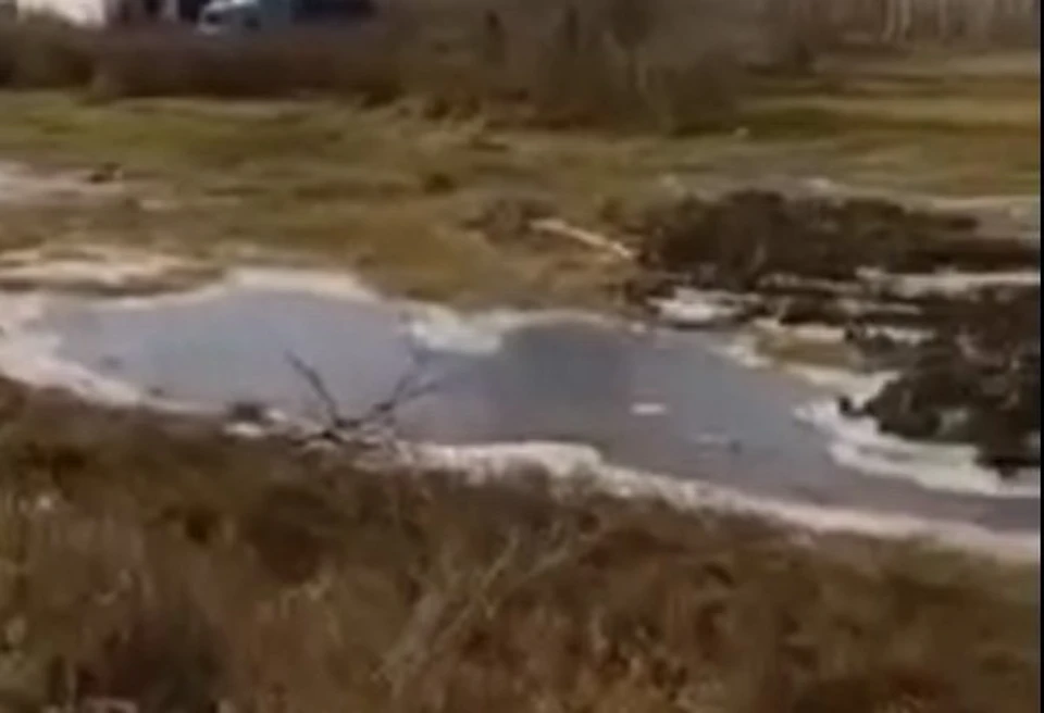 Все кюветы и низины в поселке Морозовка затопило канализационными отходами. Фото: скриншот с видео