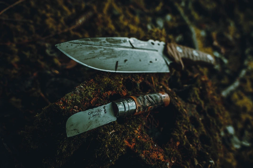 Фото: pixabay.com