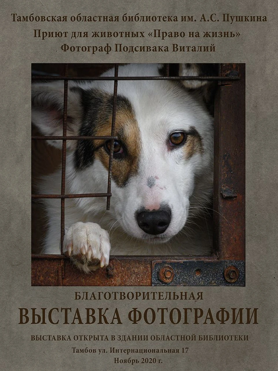 Выставка продлится с 14 ноября по 15 декабря