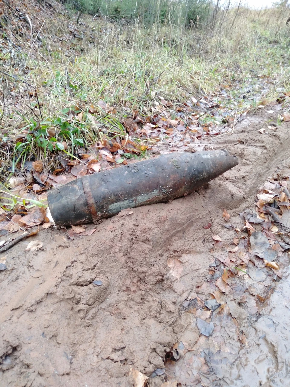 В микрорайоне Люлли в Ижевске обнаружили снаряд Фото: Федор Тарасов
