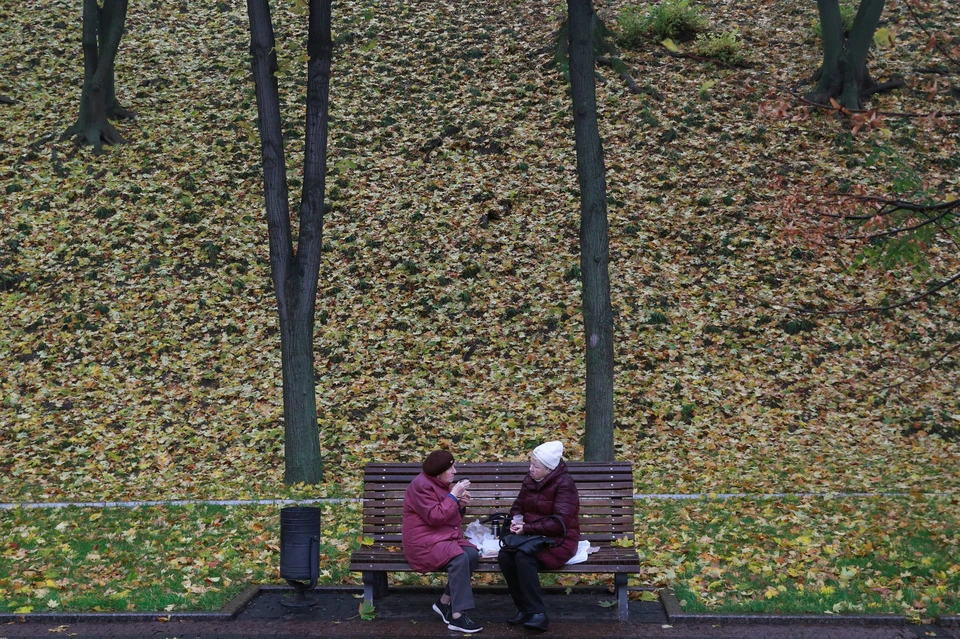 Разговор киевских старушек в одном из парков столицы Украины.