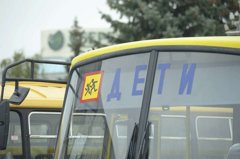 В Тульской области проинспектируют и подрихтуют маршруты школьных автобусов
