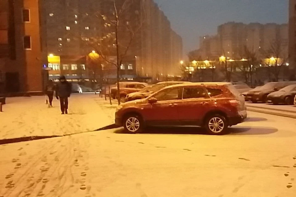Петербург засыпало снегом.
