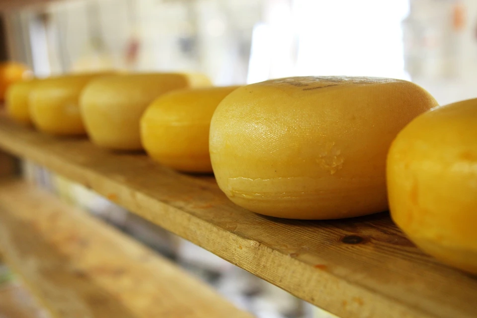 Фермеры из Удмуртии обучились сырному делу у французов