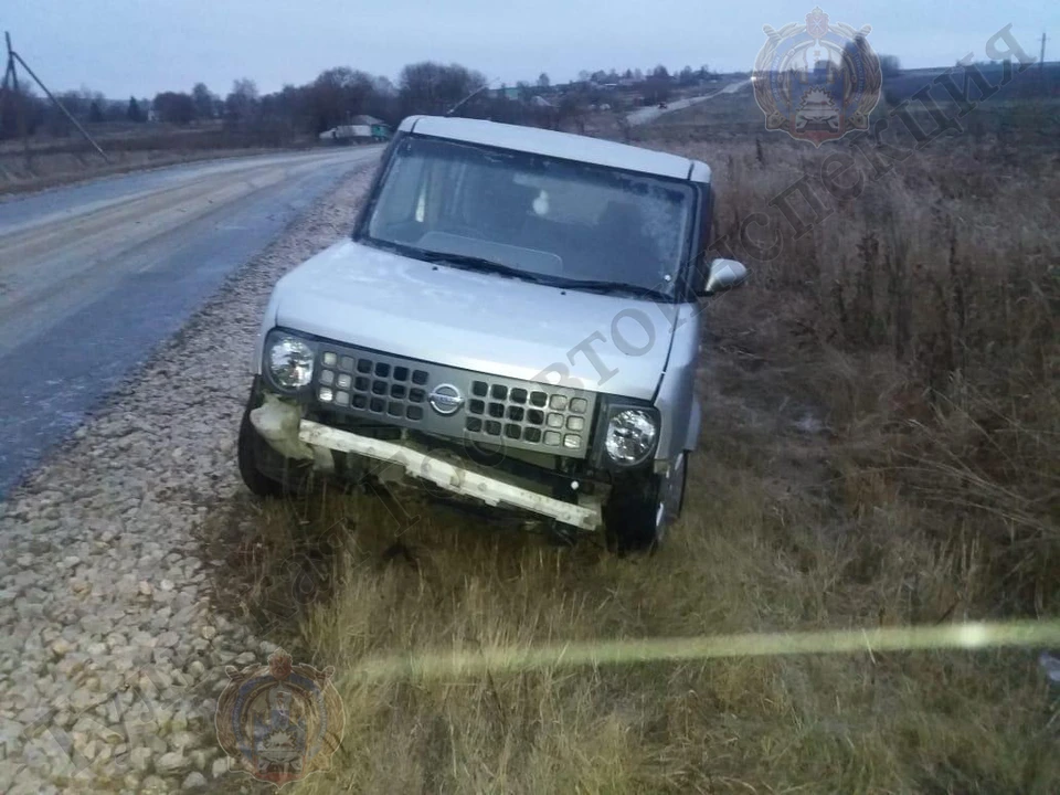 В Тульской области автоледи на "Ниссан" съехала в кювет и получила травмы