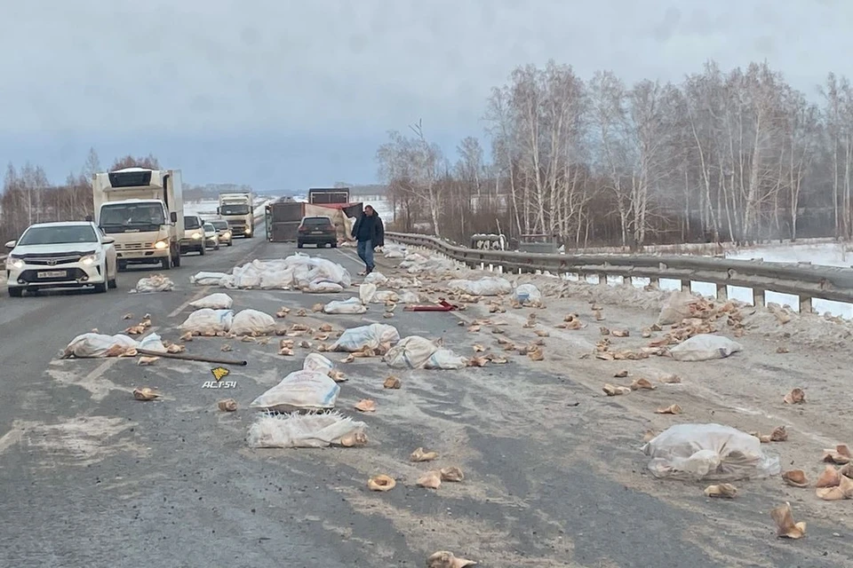 Под Новосибирском перевернулся прицеп грузовика: на дорогу из прицепа высыпались свиные уши. Фото: "АСТ-54"