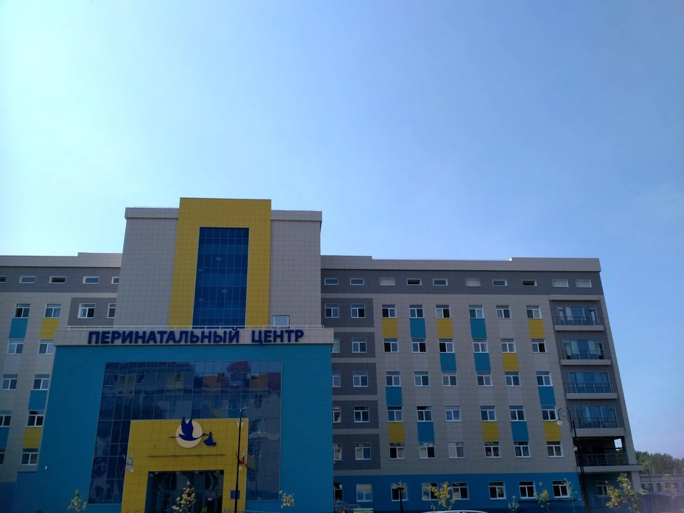 В Брянске зарегистрировали 51 двойню с начала года. В 15 случаях на свет появлялись «королевские» близнецы – то есть разнополые.
