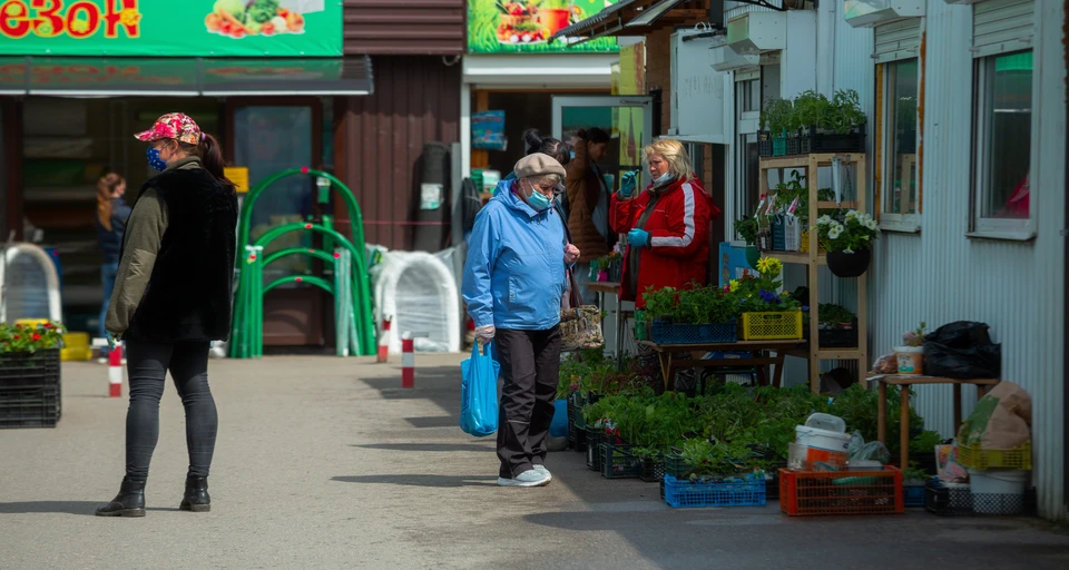 Фото: Анастасия Тарасова