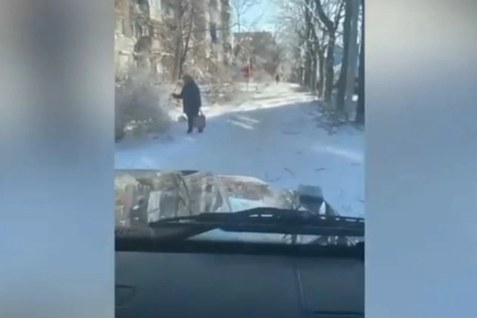 Скриншот видео: пресс-служба ОГИБДД УМВД России по Владивостоку